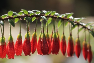 惠州私人快速借钱网，轻松解决资金难题