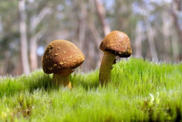 惠州私人老板放款：轻松融资的秘密通道